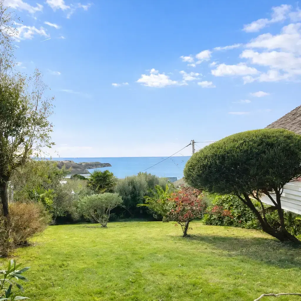 Entretien de jardin - après