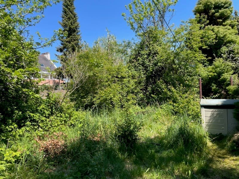Terrain non entretenu - avant
